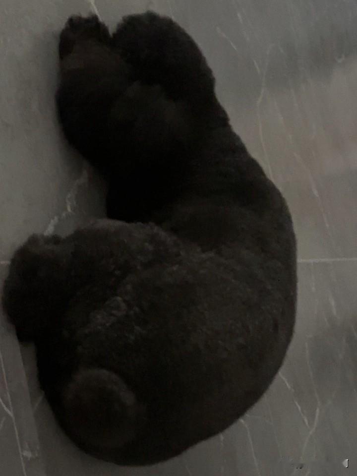 送百万去洗澡回来遇到高层那里的业主跟物业投诉。物业正在跟其中一户住房的沟通。