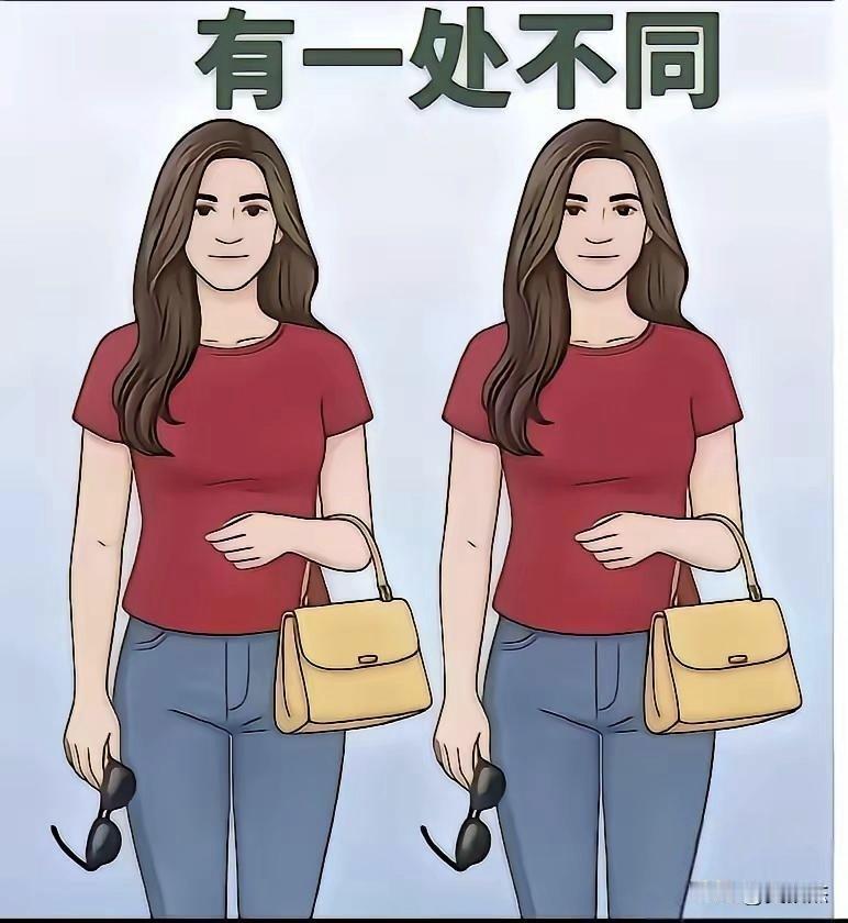 只有一个地方不同，应该很好找啊。