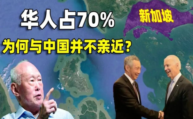 太天真了！新加坡华人真是目光短浅，净干着自毁根基的事儿！一门心思强调“新加坡