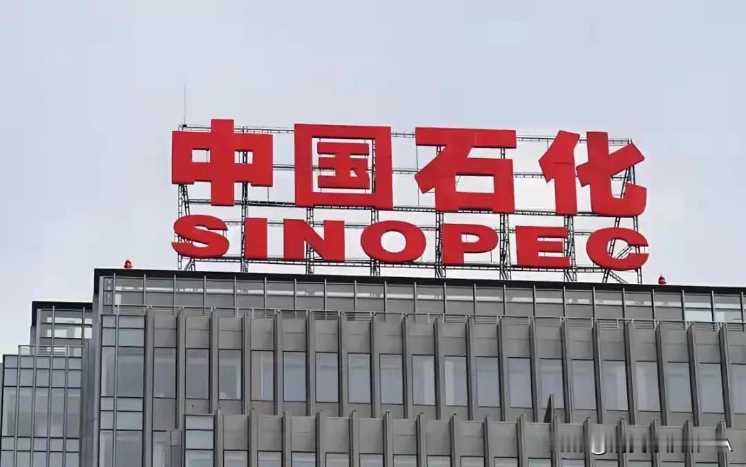 中国石化亏38亿的一季度投资有了回应，网友几大疑问待解近期，中国石化一季