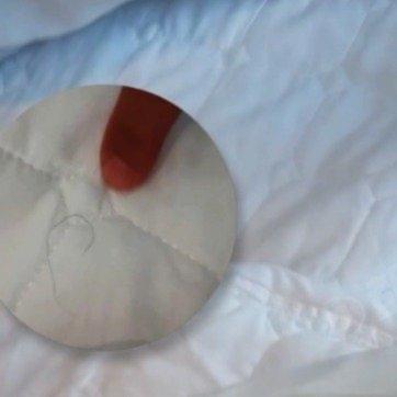 广东的一家亚朵酒店冲上了热搜。作为主打高端商务、均价约1000元一晚的直营店，其