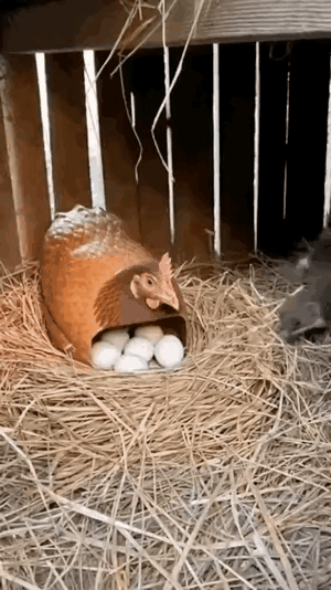 在军事理论上叫“埋伏”