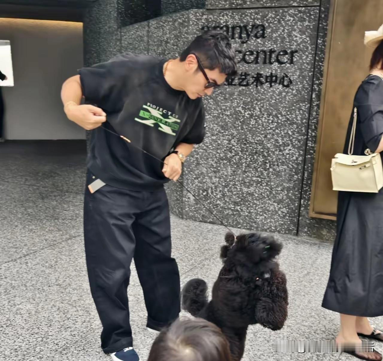 杜江霍思燕的毛孩子们又出动了，跟着爸爸妈妈一起出门，那叫一个拉风。都被打扮的漂