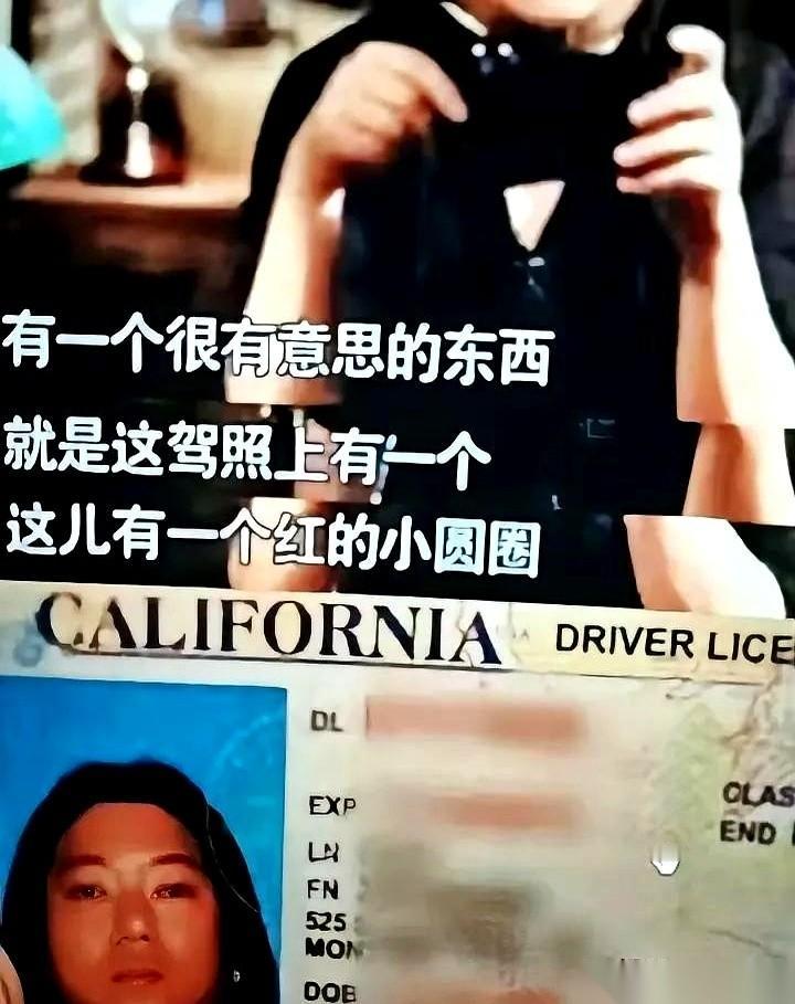 高晓松当年在节目里，一脸诚恳地给留学生支了个招：办美国驾照时，顺手把那个“器官捐