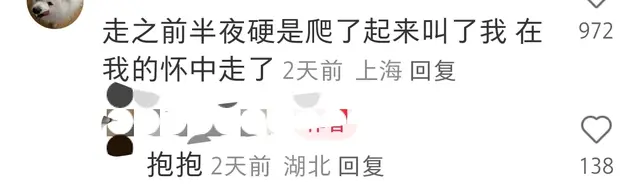 你家宠物做过什么让你感动的事情? 网友: 这和小孩有什么区别