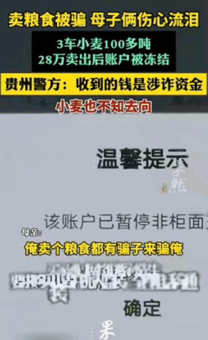 河南一农妇卖100多吨小麦，收款28万，不料，钱刚到账不久，她银行卡就被冻结了，