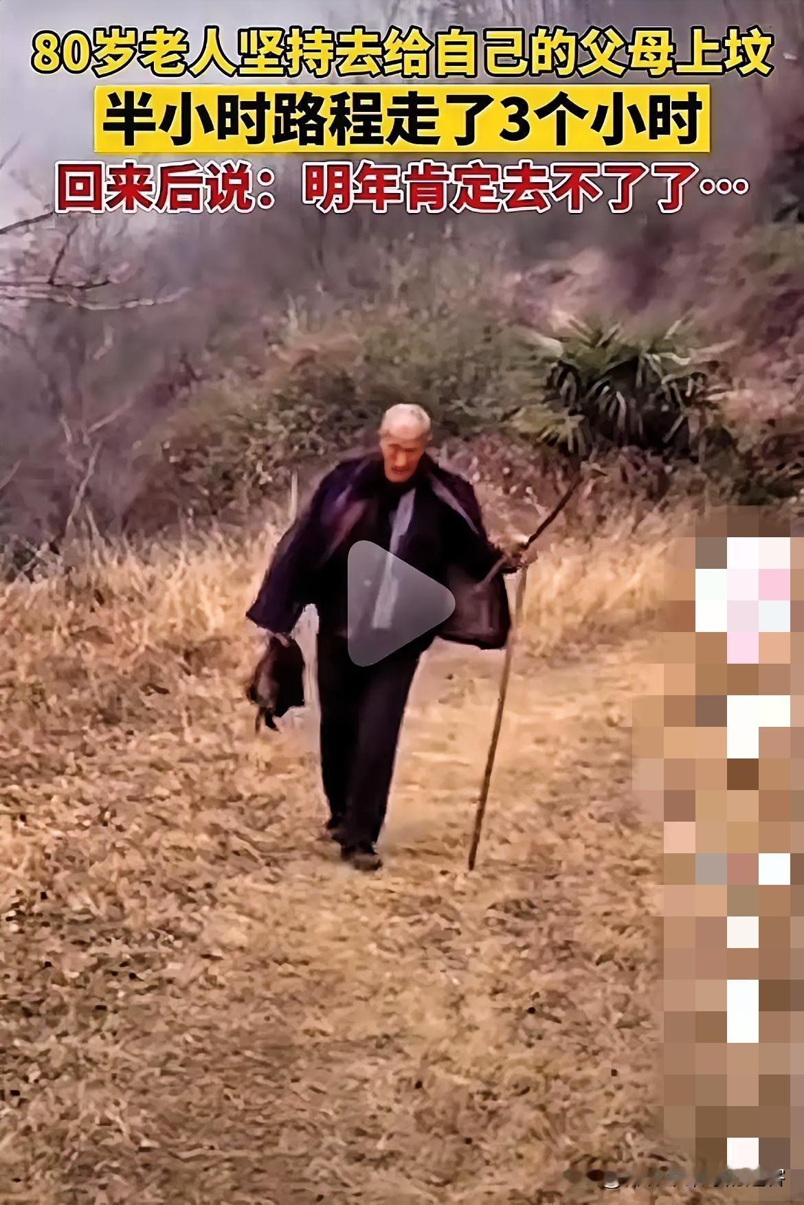 80多岁的老人，为了给父母上坟，蹒跚地走了三个多小时，他的背影让人心疼。他走到坟