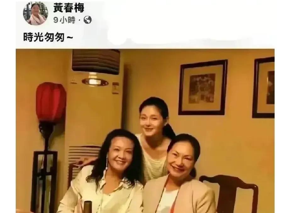 张兰这次发的小视频，说的话好像内涵大S妈妈张兰这个人很有涵养，骨子里带着的涵养