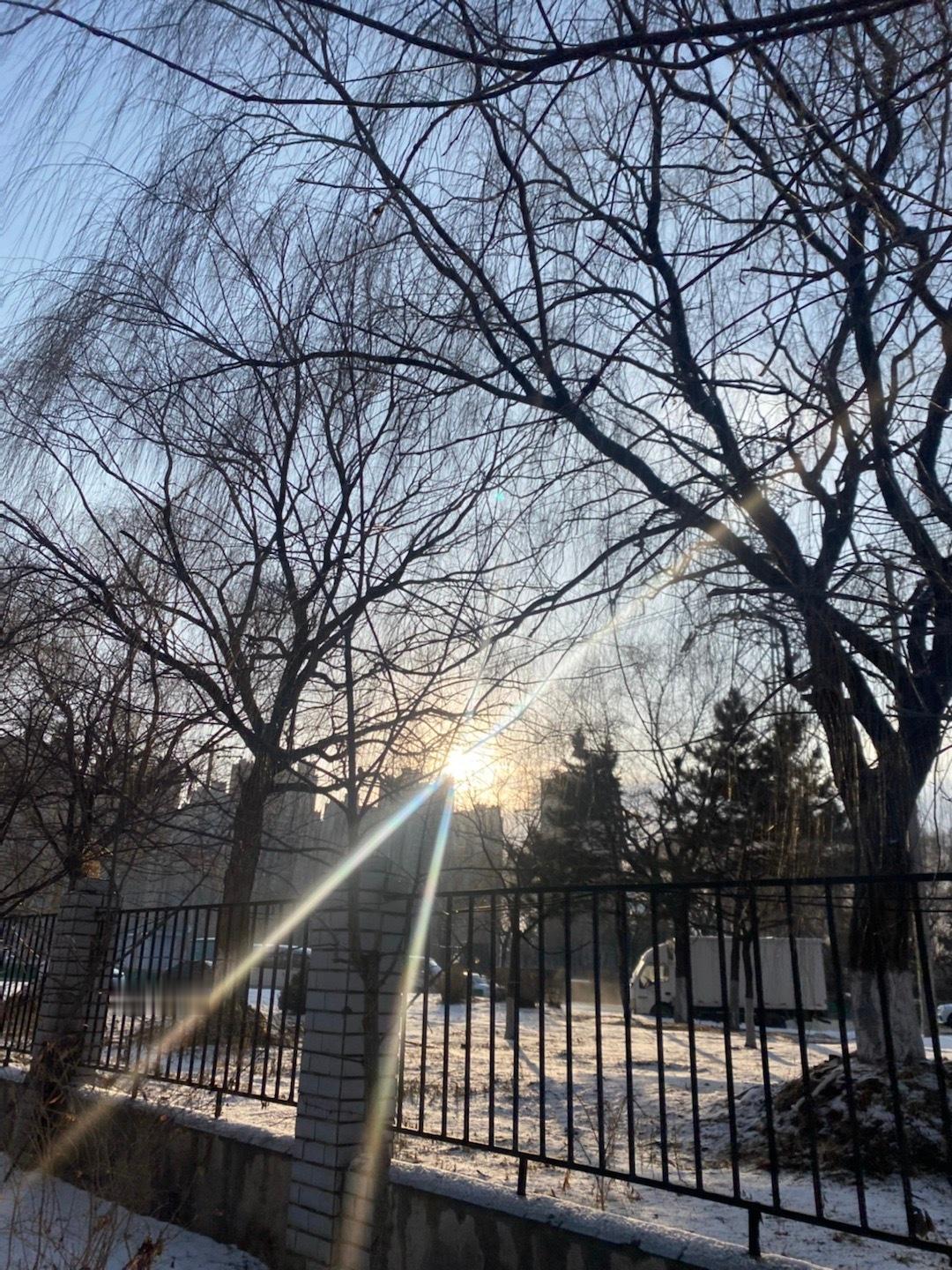 是太阳还在我就出门了的一天