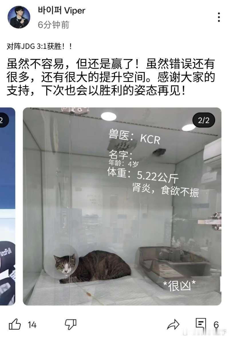 blg双c好cBLG战胜JDG赛后，Viper照例发布赛后感悟。机翻：虽然不容
