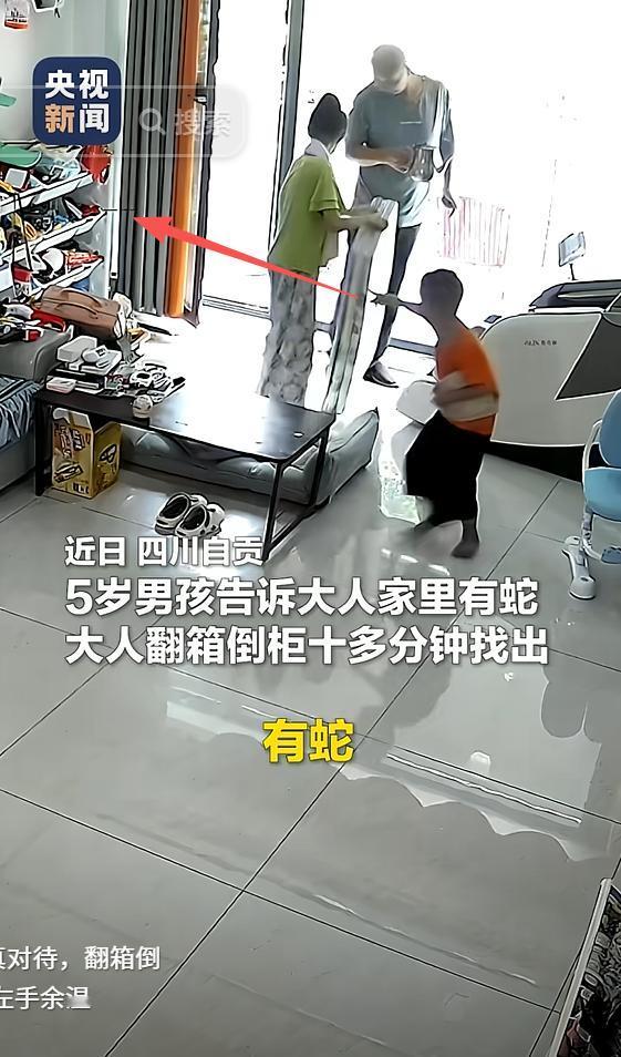 太吓人了！四川自贡，5岁男孩突然说家中有蛇，还肯定的说出蛇的颜色，大人听闻翻箱倒