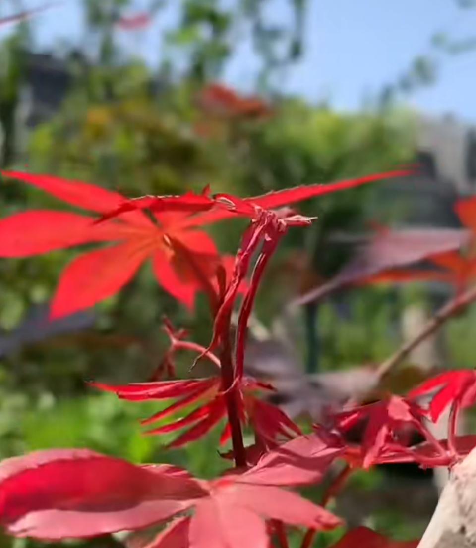 发生了什么？昨日（3月19日）北京二手房市场相关数据有异动？如果说监测二手房