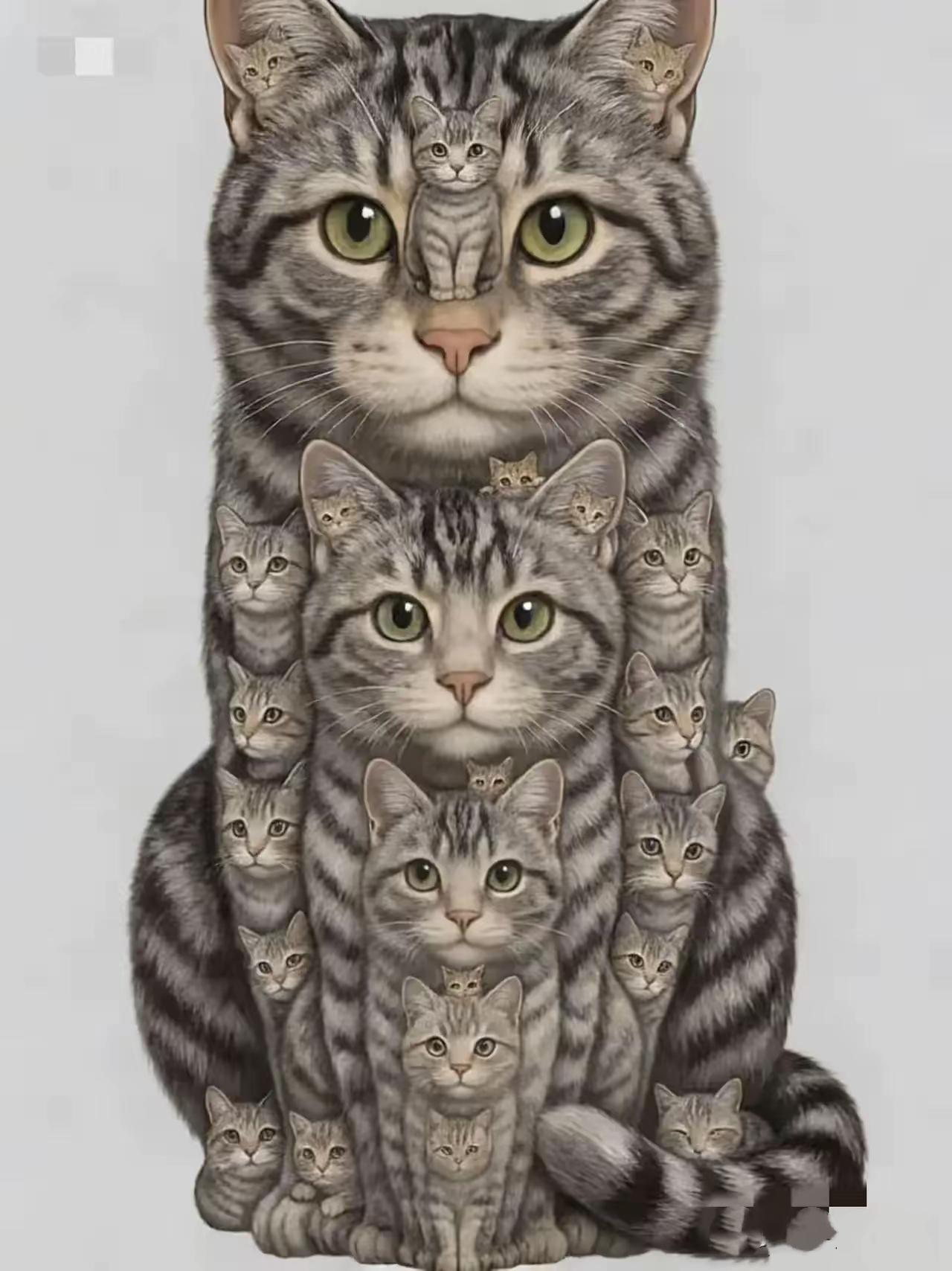 一共多少只？谁能数清楚？​网友评论：​二十六只猫​​25只猫​​我看