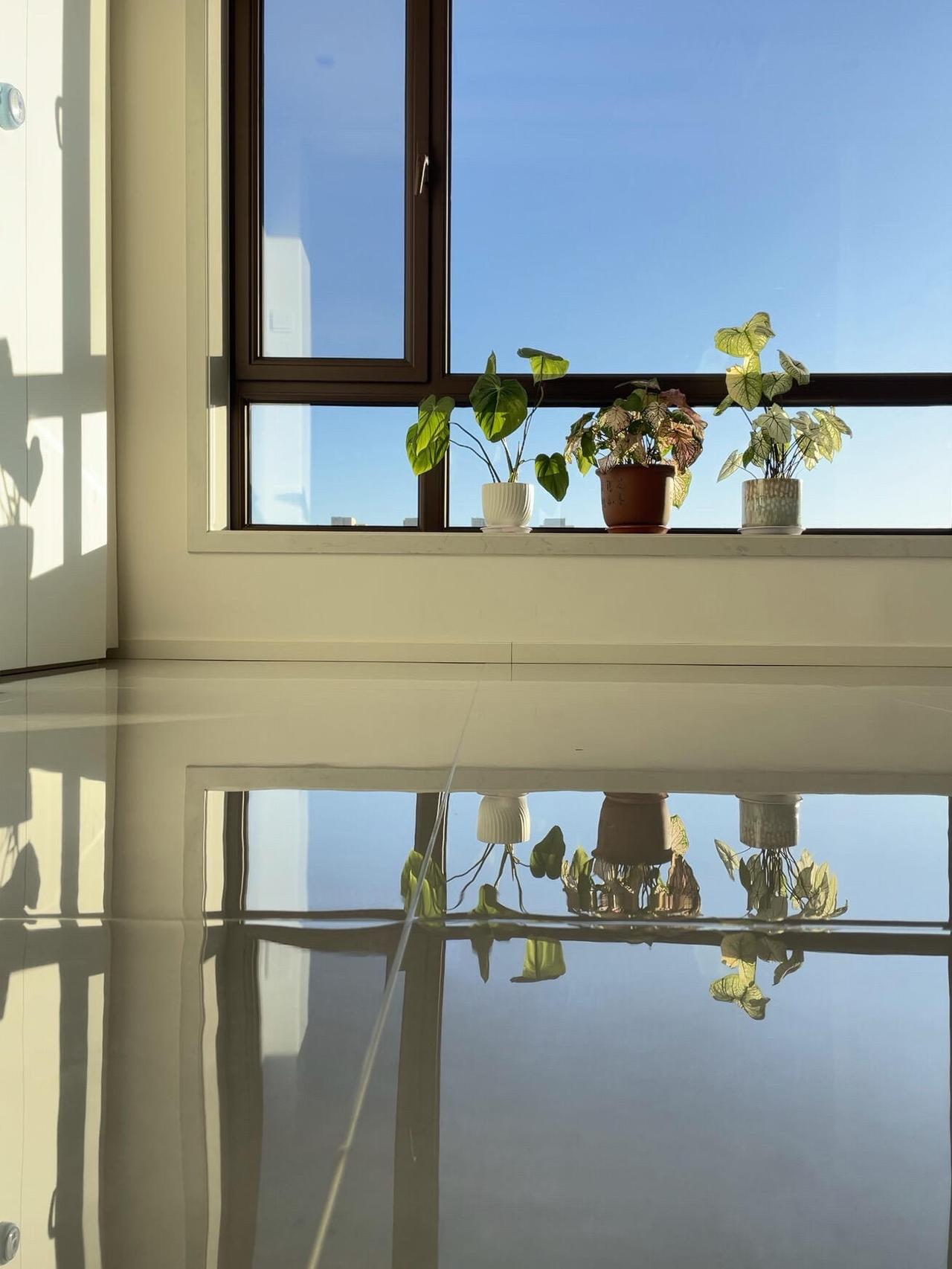 我家物件可以陈旧，但绝不能脏乱，辽宁沈阳一位女士晒出家的照片，家里被打扫的干净整