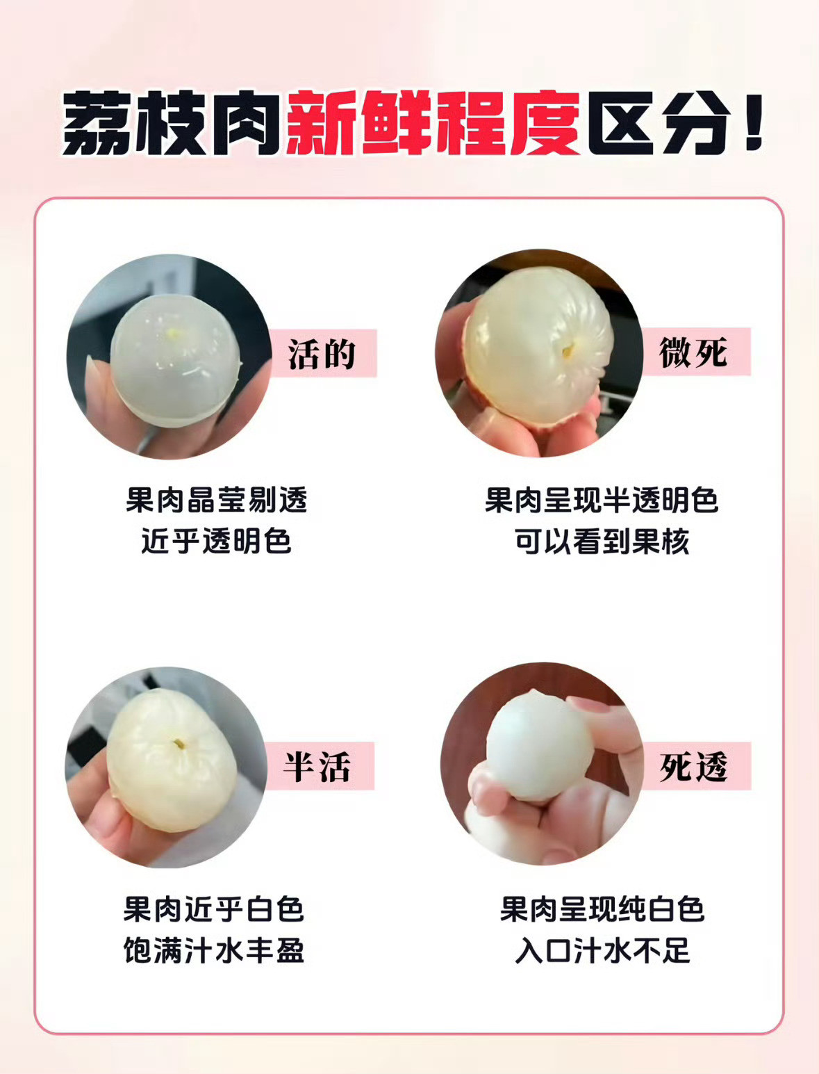 荔枝原本的样子原来这才是活荔枝，吃了这么多年死荔枝