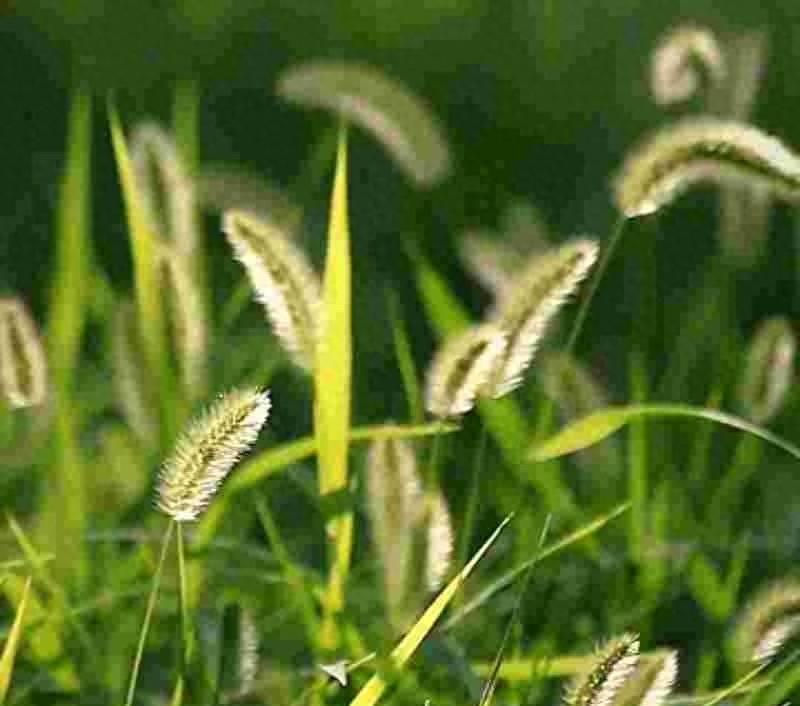 有人把杭州的精致和宁波的实干摸了个透，说别拿北方的直爽硬套江南的规矩。文章里提了