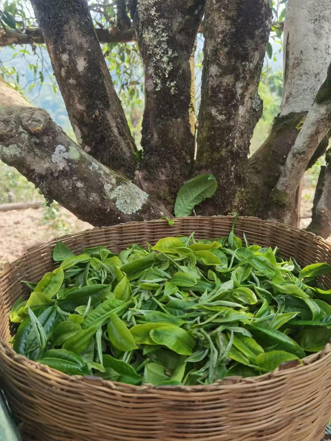 一个人真正的逆袭，从来不是突然运气变好，而是主动重建了自己的认知环境、成长环境，