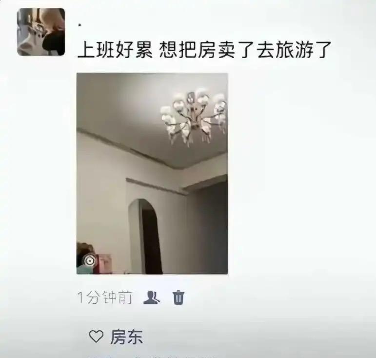 发个朋友圈，房东还骂我管的也太多了吧这么多屁事