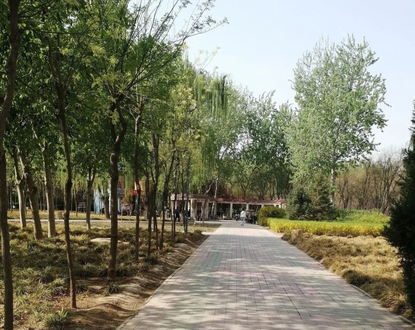 公公在我们家住了小半年，五一暖和了说要回老家。老爷子临走前把社保卡往桌上一拍：