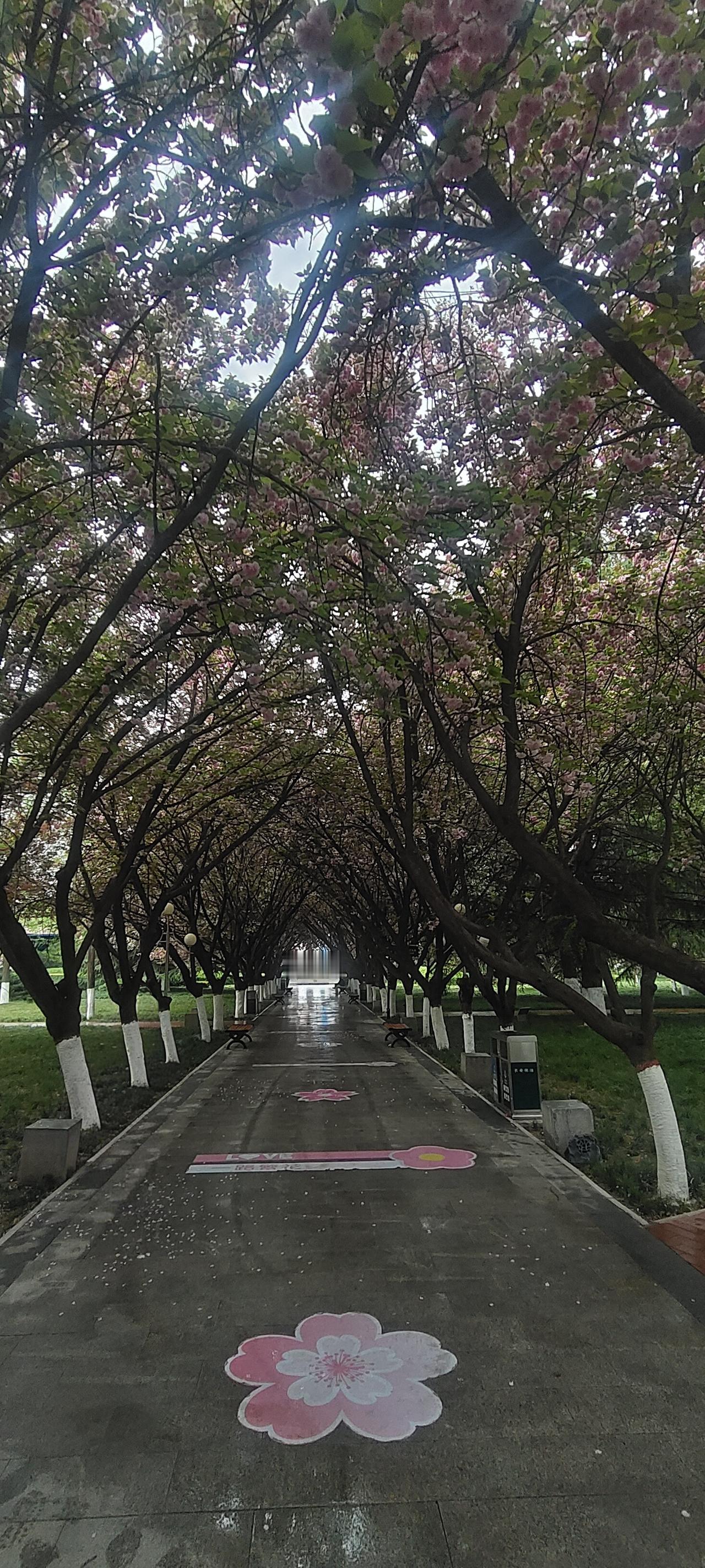 晒图笔记大赛落日余晖之美胜过日出