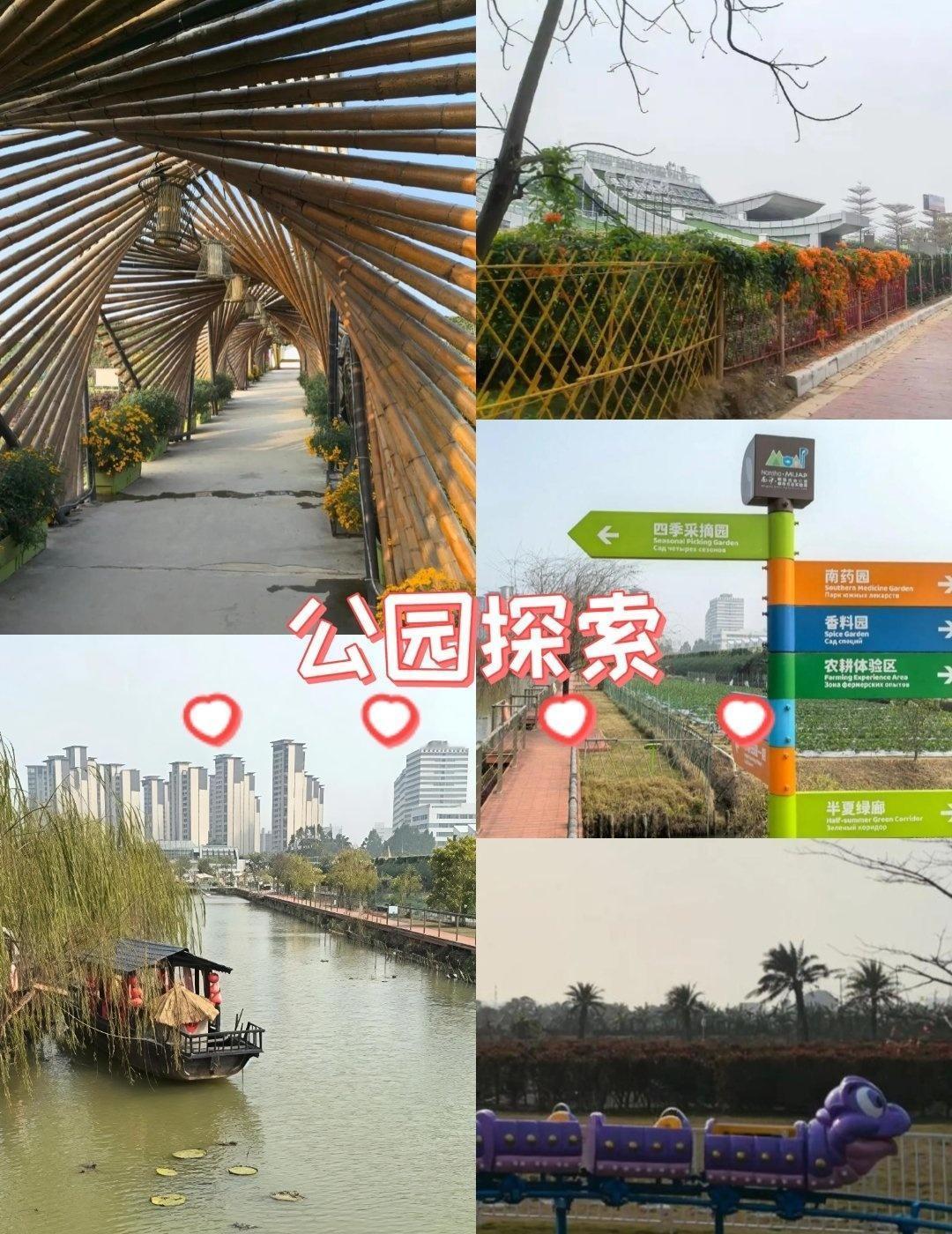 探秘广州南沙明珠农业公园，畅享都市田园诗意📍广州南沙明珠农业公园这家藏在