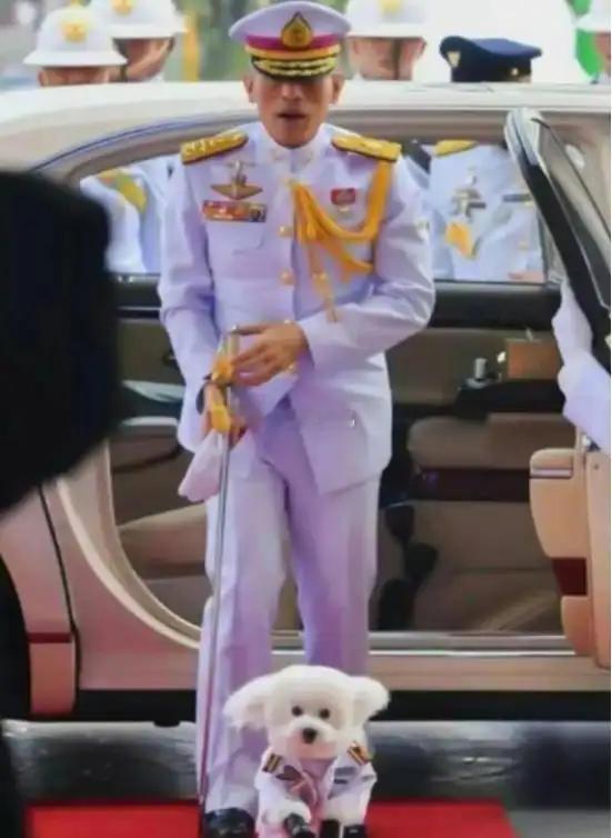 关于泰国国王已经过世的空军大元帅（狗），大妈必须单开一期来说~~因为真的是过于.