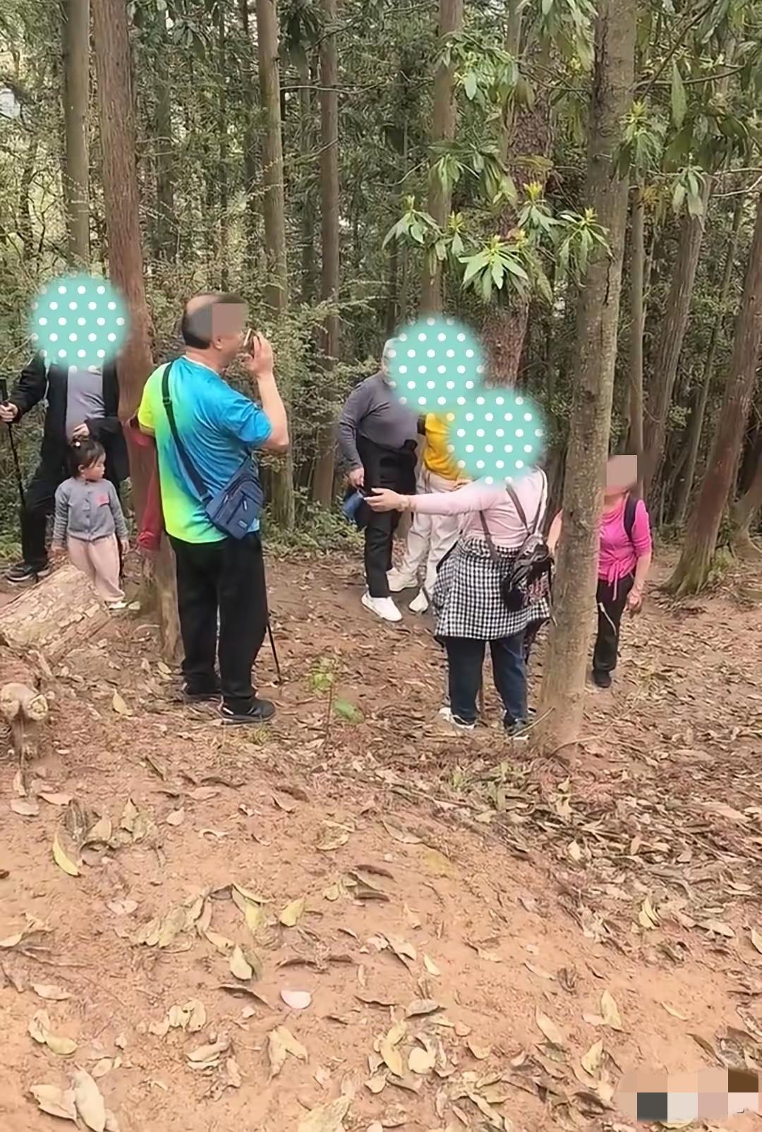 老四坡上的生命考验：老人徒步遇险，互助与敬畏藏着户外安全的真谛几名老人徒步