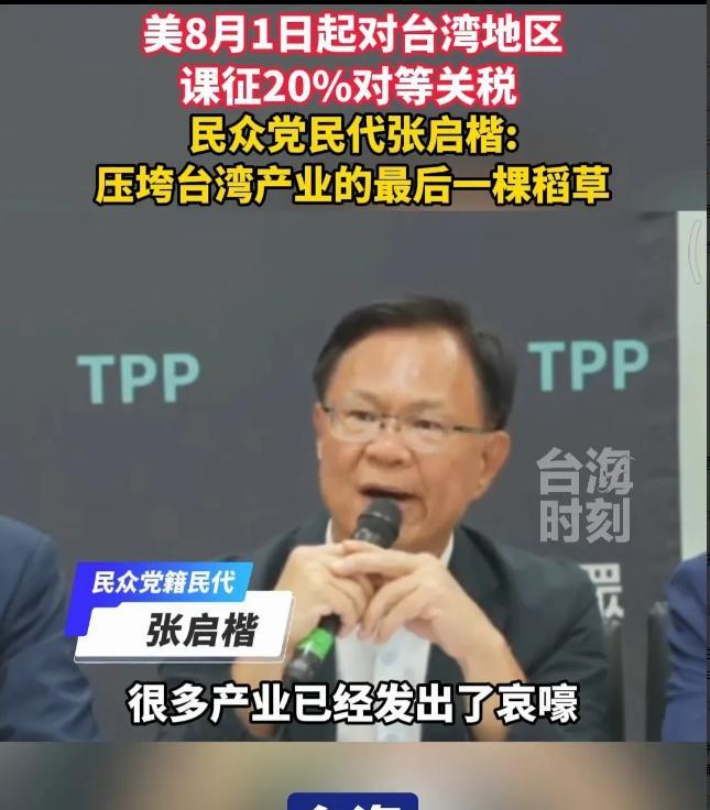 /面对20％关税，台湾学者想“中国大陆”帮忙！希望中国大陆能主动将台湾经贸纳入与