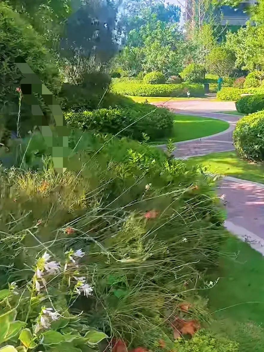 媳妇玩牌输了六万多，我气头上没忍住，给了她一巴掌。她当时就哭了，也没跟我吵，扭头