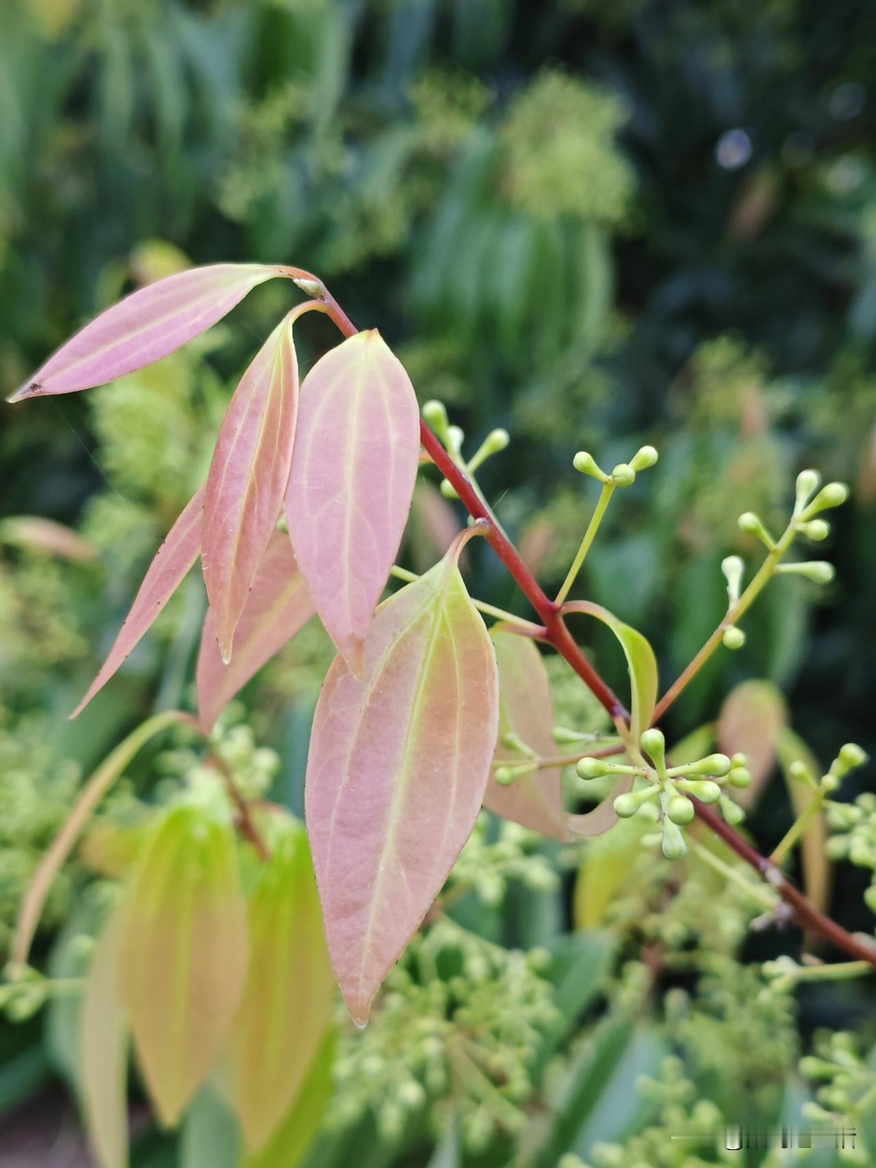 结婚30多年，我从未给公公婆婆洗过衣服，甚至没给老公洗过衣服。我是不是很懒？