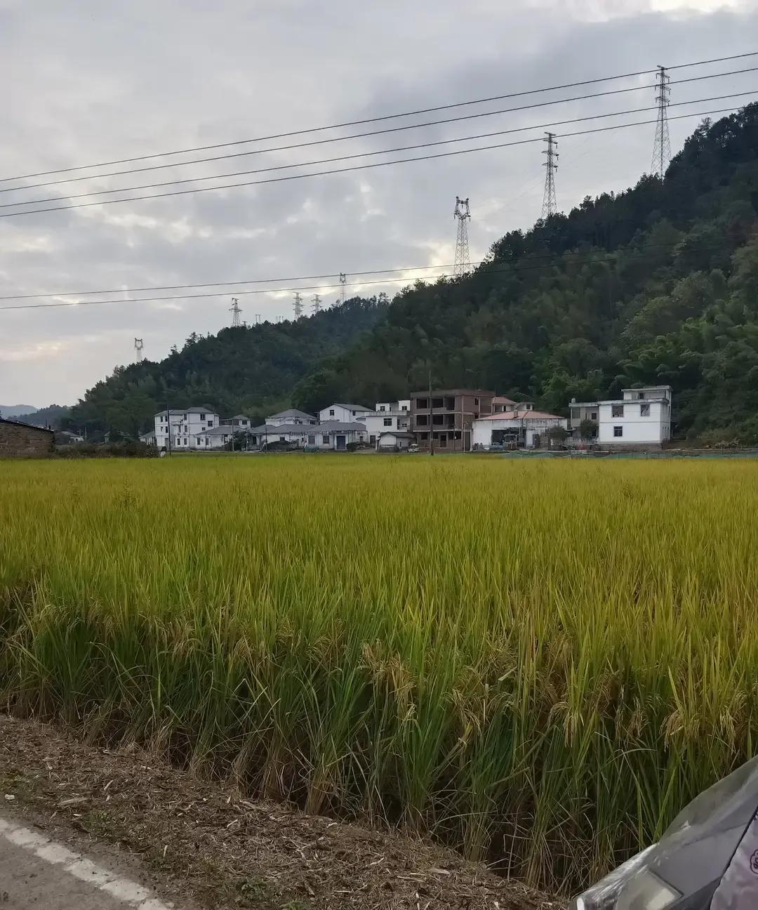 67岁老张8年前扔下老婆孩子跟别的女人跑了，一分钱没留，一句解释都没。今年正月