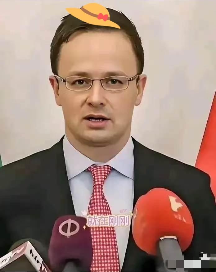 匈牙利外长传来消息2026年4月5日，匈牙利突然宣布要派军队去保护“土耳其溪