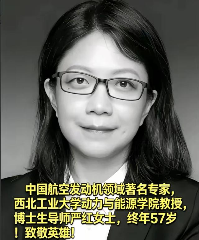 真的破防了，3月24日。当所有人都在为张雪峰惋惜时，西工大博导严红，死磕航空发动