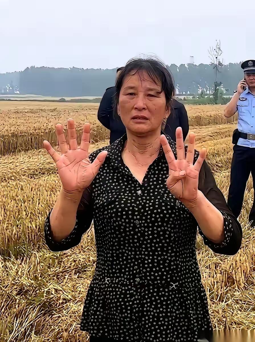 襄阳那场麦收风波，结局比过程更带劲。闹到最后，大妈托侄子，给河南那对小夫妻转了