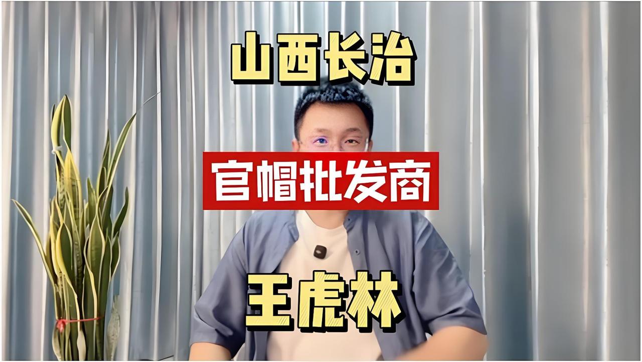 山西王虎林案（突击批发乌纱帽案）🌺核心案情：1999年，时任山西长治县委