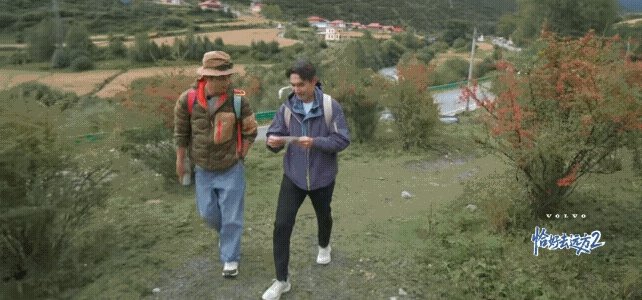 知道张铎爱陈松伶，没想到能爱得如此疯狂。张铎在爬山的时候，直接从口袋里面掏出