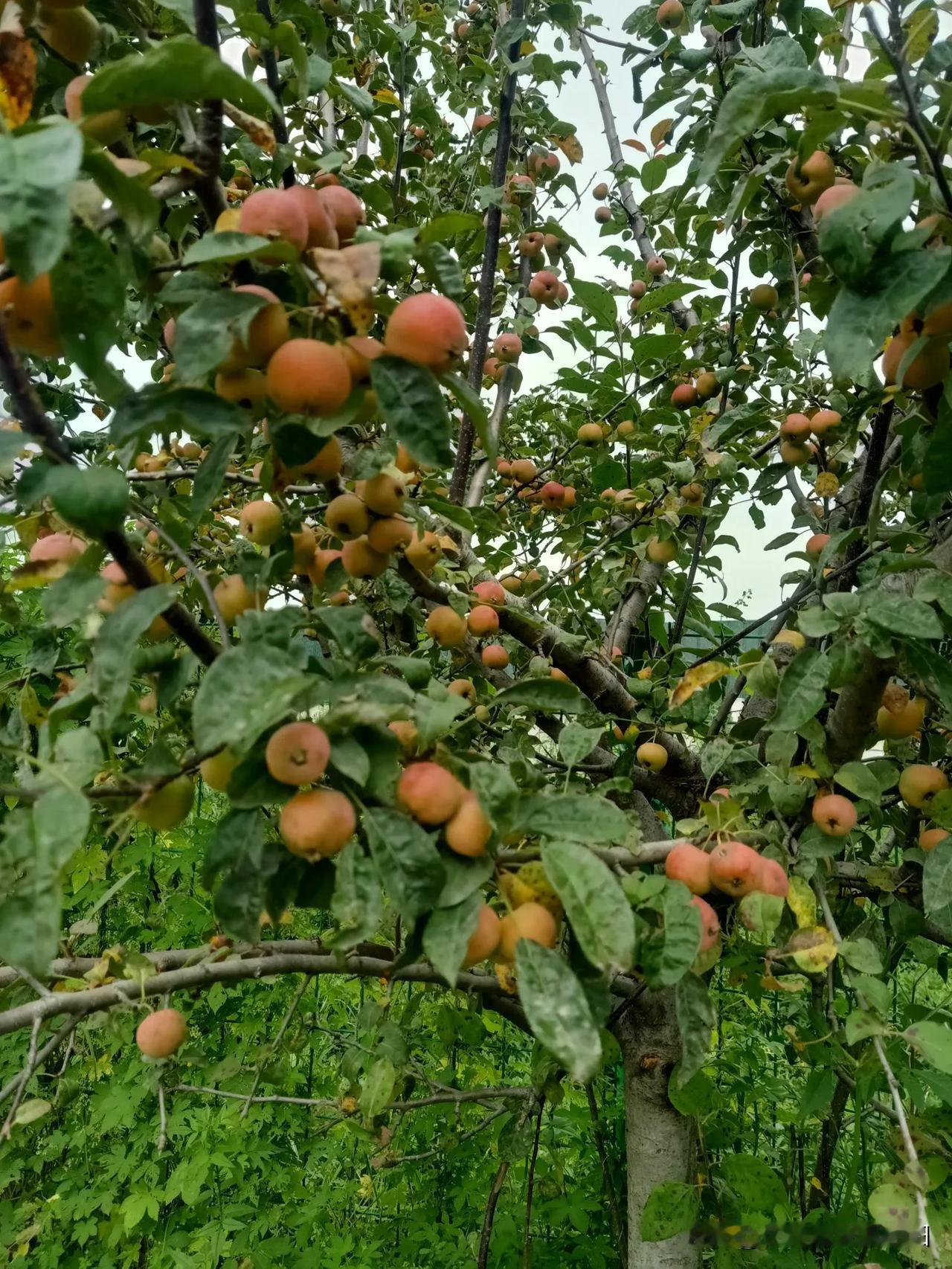 晒图笔记大赛硕果累累，丰收在望！