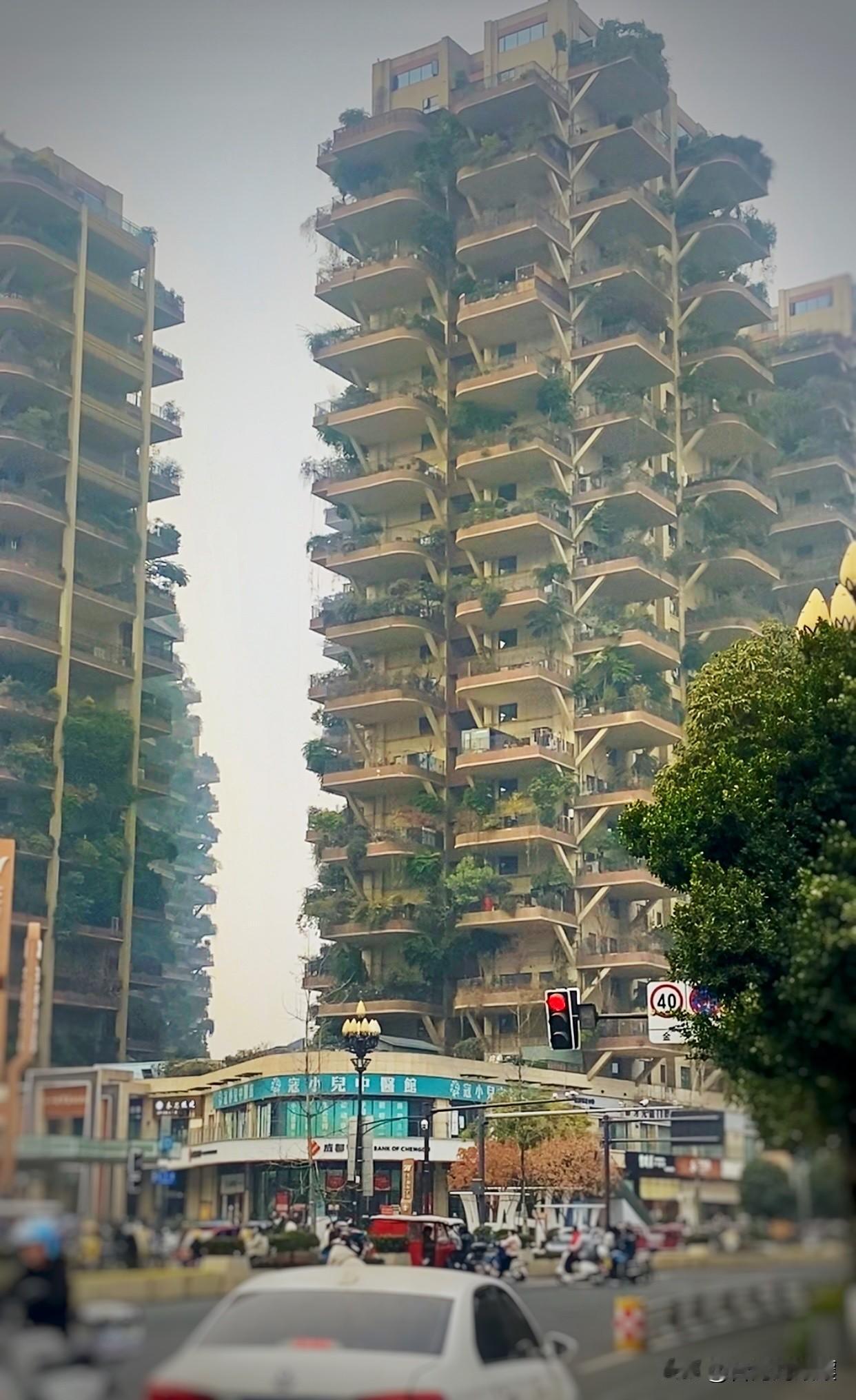 昨天经过成都市新都区七一城市森林花园，当下看到这座网红打卡建筑时，心里咯噔一下，