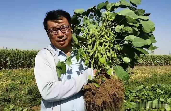 工程界这场知名“乌龙”：力学教授跨界破解治沙难题，十年争议至今未消我国工程界