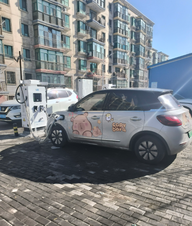 充电站最近热闹得很，天天都有各种新能源车型来充电。现在新能源发展太猛啦！