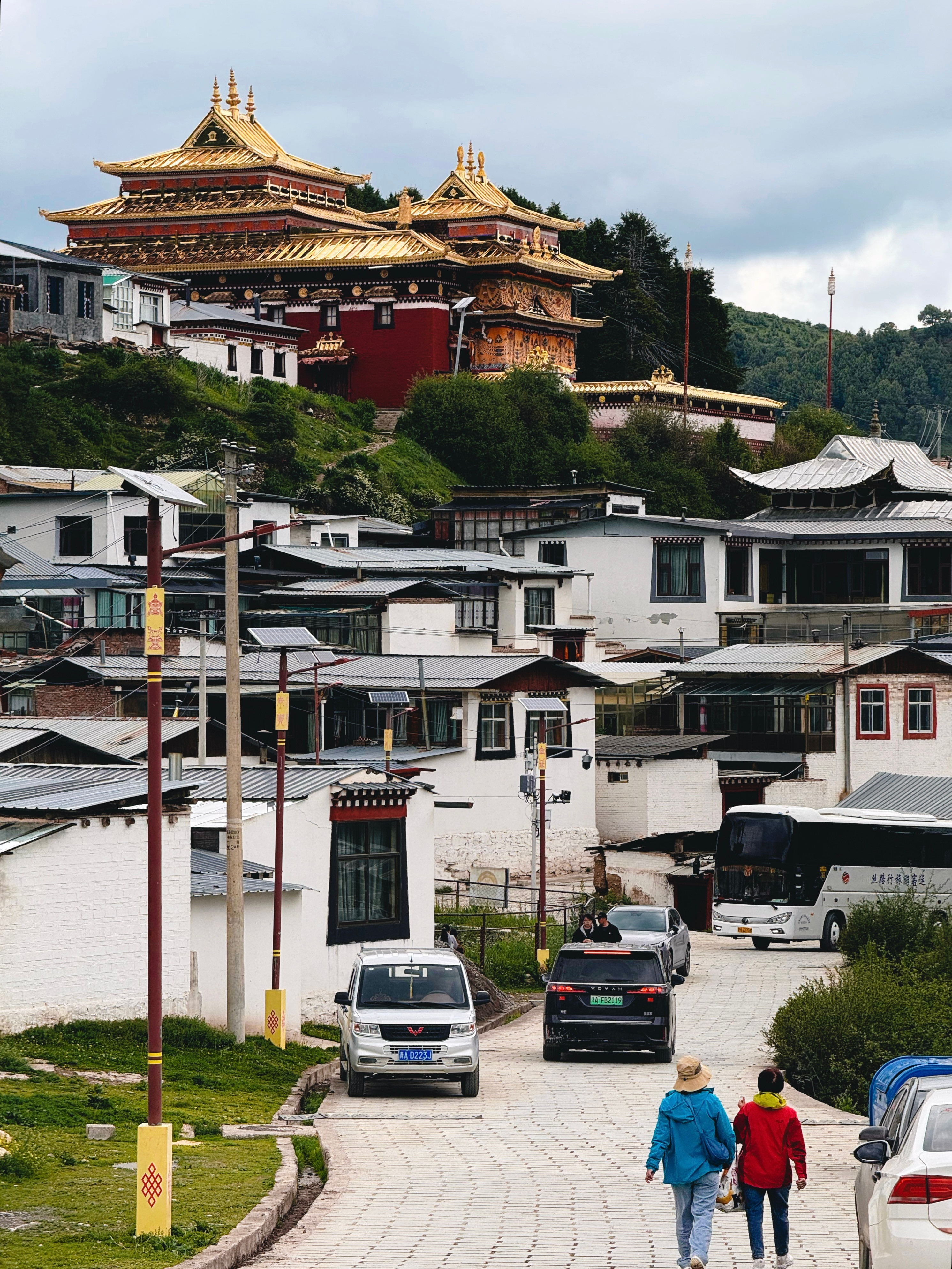 评价一下甘南，首先，这是个六边形的旅游目的地，要自然有草原湖泊湿地高山，要人文有