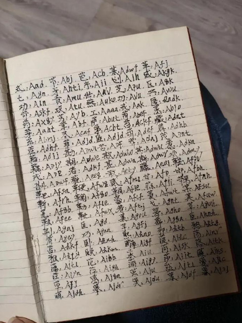 家里翻出一本我哥20多年前的笔记本，汉字后面是英文字母，完全看不懂啥意思？谁能破