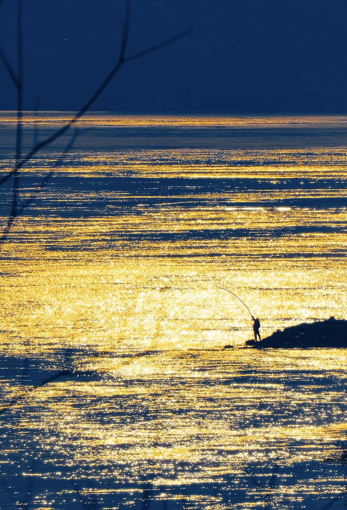 人一定要大量读书！我发现长期读书的人都有一个共性：他们眼里不仅有生活，还