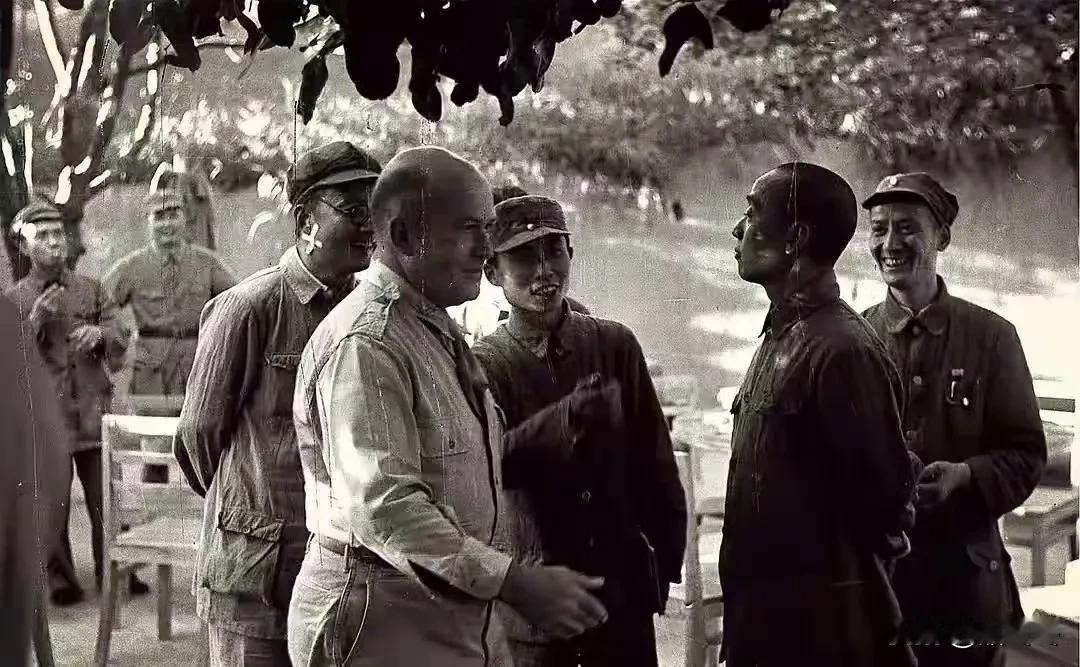 1944年，陕北。美军军事观察团到访延安。观察团到了延安后，看到了与国统区截然