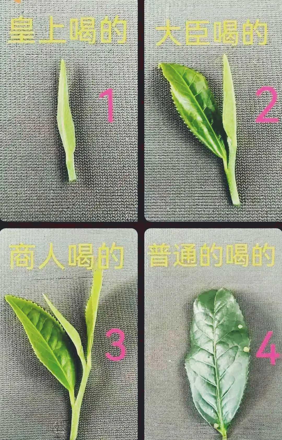 古代是这样？