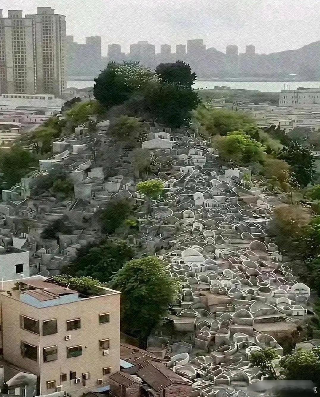 这就是多年后土葬的后果！！！