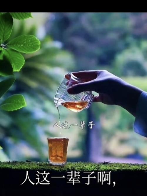 人生三张桌饭，听完心里会怎么想家人们，你们发现没？这辈子咱其实就摆过三桌饭