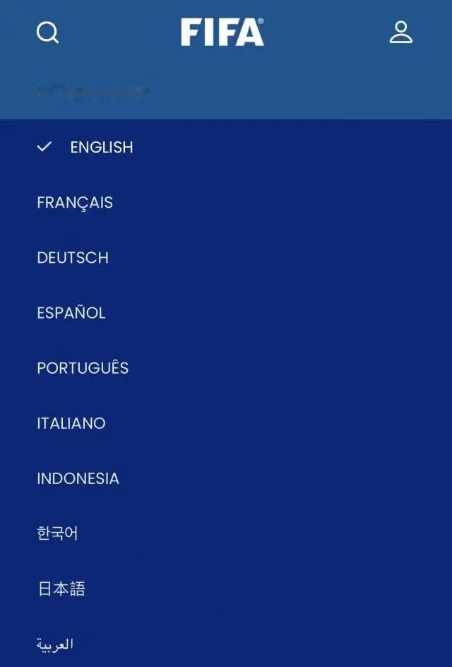 没有中文FIFA官网连中文都没有国际足联没有这个工作语言日本、韩国、印尼、