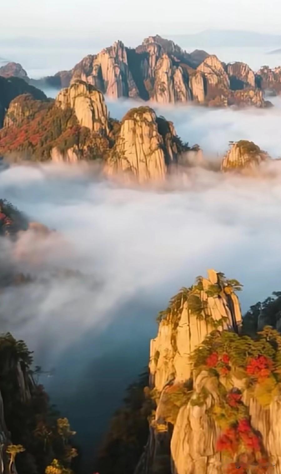 我用自己的亲身经历来戳破“癌症就是绝症”这一谎言！不知道为什么，在