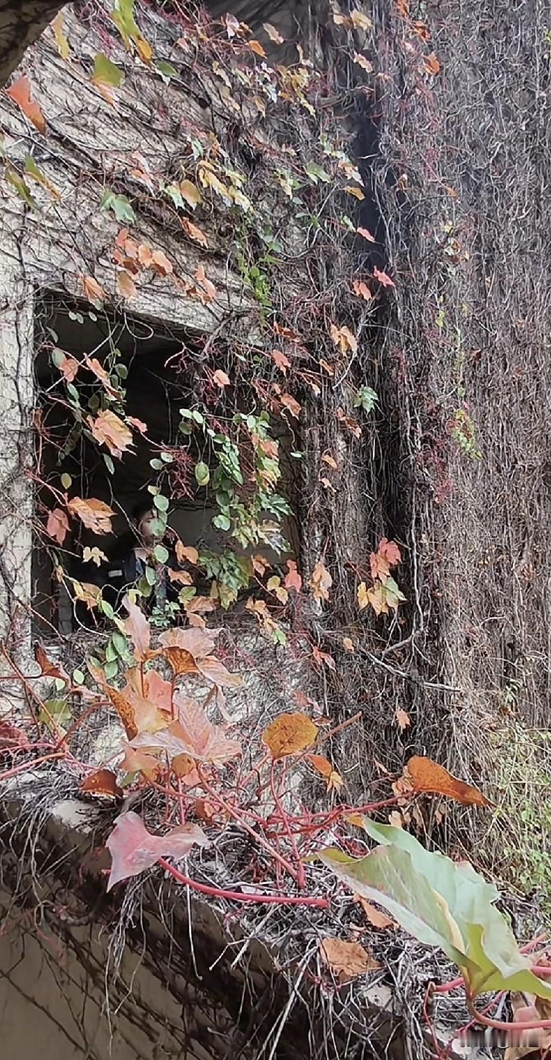 你知道有些小伙子长柤，条件都挺好的，为什么三十多四十多还是光棍吗？以我同事她哥